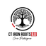 CT IRON ROOTS