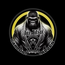 PROJETO SOCIAL CARLOS ALVES
