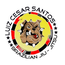 LUIZ CESAR BRAZILIAN JIU-JITSU