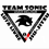 TEAM SONIC