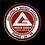 GRACIE BARRA GUARA