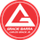 GRACIE BARRA VILA ANASTACIO