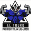 PRO FIGHT
