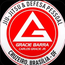 GRACIE BARRA CRUZEIRO