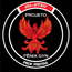 PROJETO FENIX GYN
