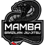 BLACK MAMBA