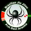 DAVI ARANHA