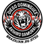 DIEGO DOMINGUES BJJ