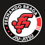 FERNANDO BRAGA JJ