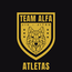 TEAM ALFA DME
