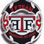 FFTEAM
