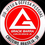 GRACIE BARRA CRUZEIRO