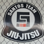 SANTOS TEAM