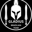 GLADIUS BRAZILIAN TEAM