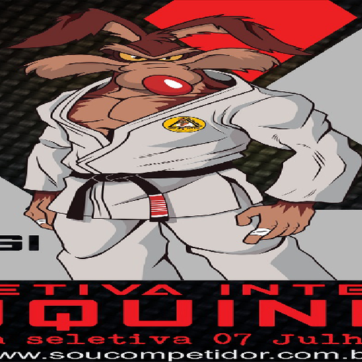 P1005-SELETIVA JUQUINHA DE JIU-JITSU 2 - ETAPA