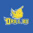 DRILL BJJ SCHOOL/PH