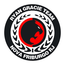 RYAN GRACIE TEAM