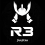 R3 JIU-JITSU