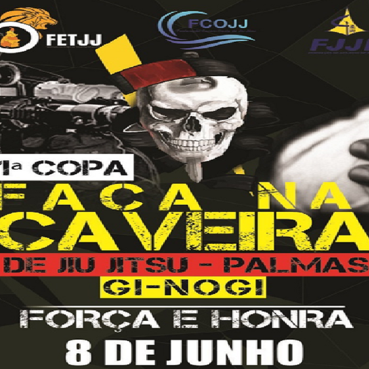 P0958-COPA FACA NA CAVEIRA PALMAS - EDICAO