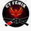 CT FENIX JIU-JITSU KIDS