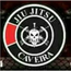 JIU JITSU CAVEIRA