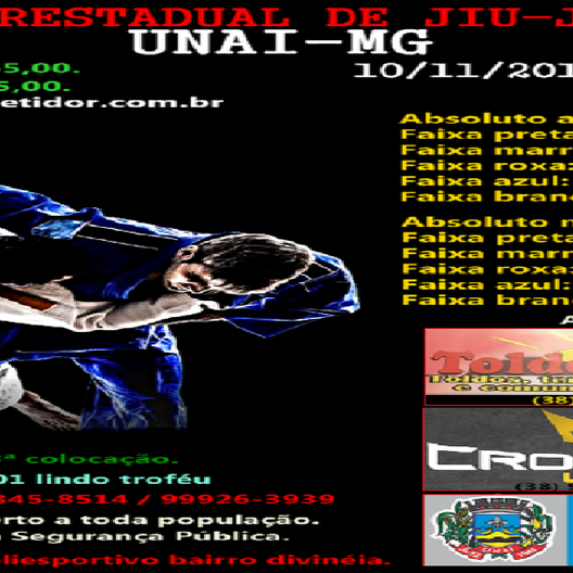 P1090-CAMPEONATO INTERESTADUAL DE JIU-JITSU 2 - EDICAO
