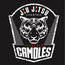 FERNANDO CAMOLES TEAM