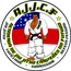 ACADEMIA DE JIU JITSU CAMPEOES DO FUTURO - AJJCF
