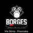 BORGES BJJ