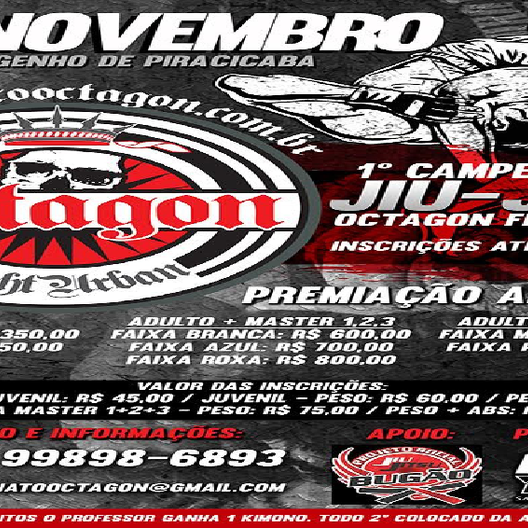 P0335-CAMPEONATO OCTAGON FIGHT URBAN 1 - EDICAO