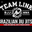 TEAM LINK