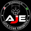 ASSOCIACAO JOSE EMIR DE BOX E ARTE MARCIAIS