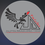 FALCOES ARTE JIU-JITSU