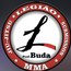 LEGIAO JIU JITSU