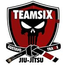 TEAM SIX