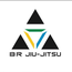 BR JIUJITSU