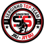 SERGINHO TOP TEAM