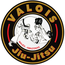 INSTITUTO VALOIS JIU-JITSU
