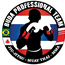 BUDA PROFESSIONAL TEAM