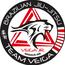 VEIGA TEAM