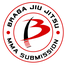 BRAGA JIU JITSU