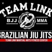 LOGO DA EQUIPE TEAM LINK - SAO LOURENCO-MG