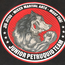 JUNIOR PETRUQUIO TEAM