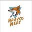 BRAVOS NERY