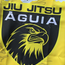 AGUIA JIU JITSU SCHOOL