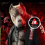 J&R BJJ