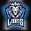LIONS JIU JITSU