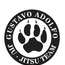 GUSTAVO ADOLFO JIU JITSU TEAM