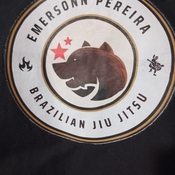 LOGO DA EQUIPE PEREIRA TEAM - PORTO ALEGRE-RS