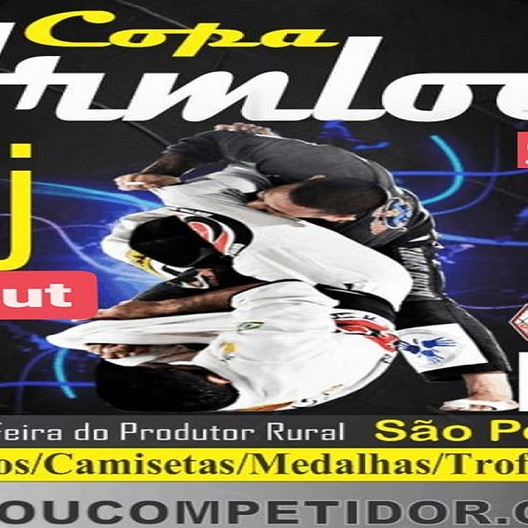 P1205-COPA ARMLOCK JIU JITSU 12 - EDICAO